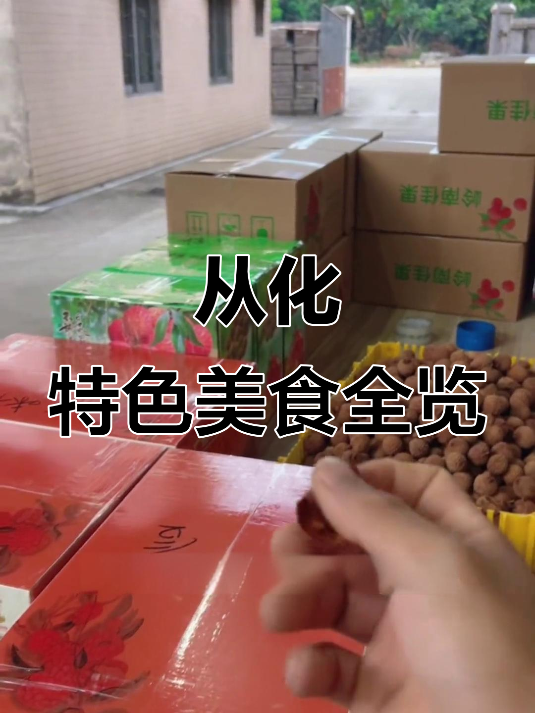 从化特产大揭秘:荔枝干、龙眼、桂圆与糯米糍干的完美搭配