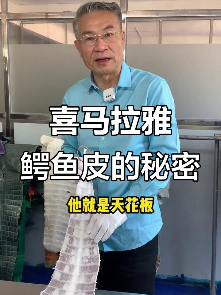 喜马拉雅鳄鱼皮:新加坡兴隆公司如何打造行业天花板