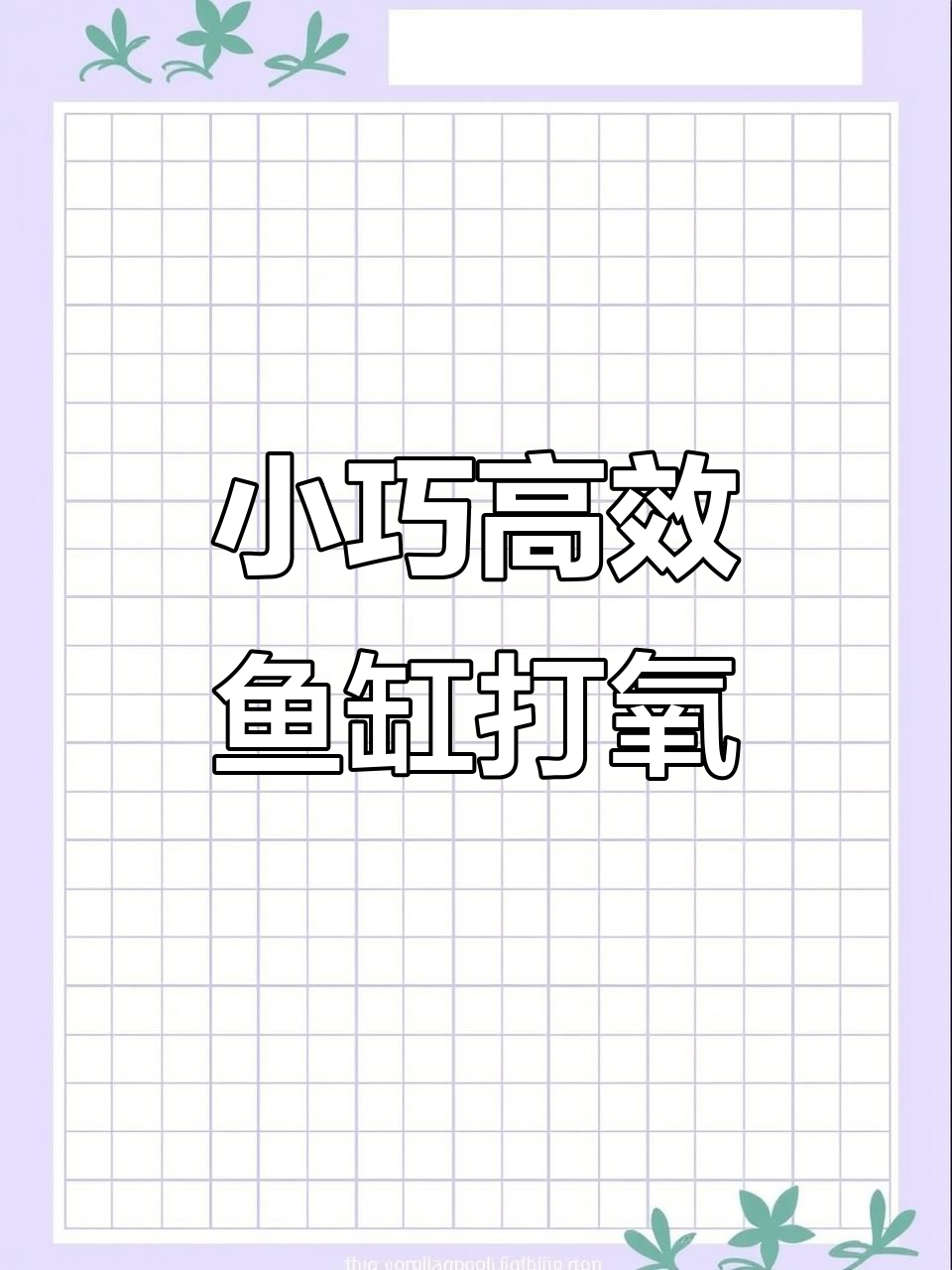 鱼缸打氧不选气石,1瓦迷你氧气泵搭配空气细化器更美观