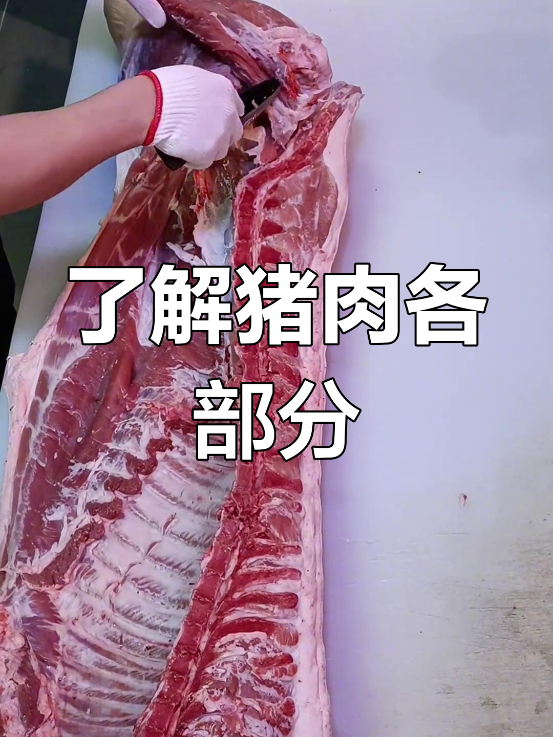 猪肉部位全解析