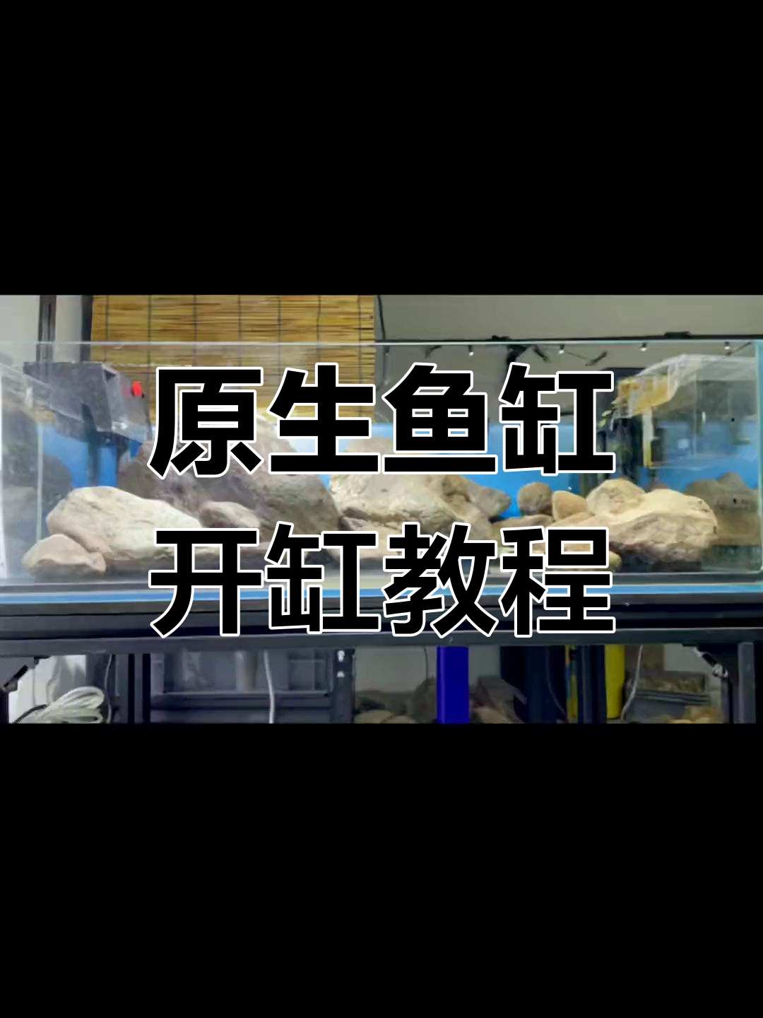 80虾虎缸原生造景,打造自然溪流风格