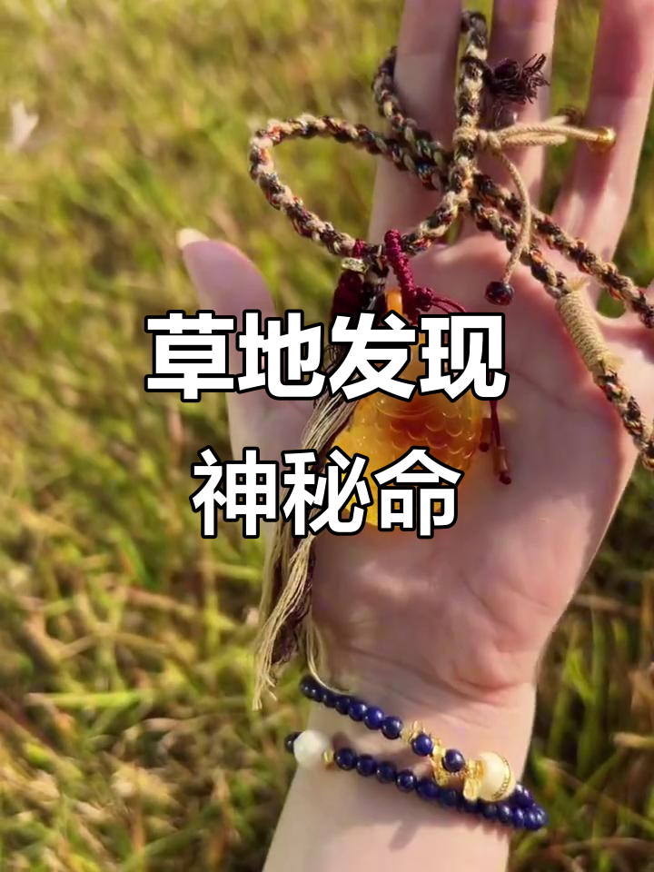 草坪捡到一条蜜蜡,竟然是一条鱼!