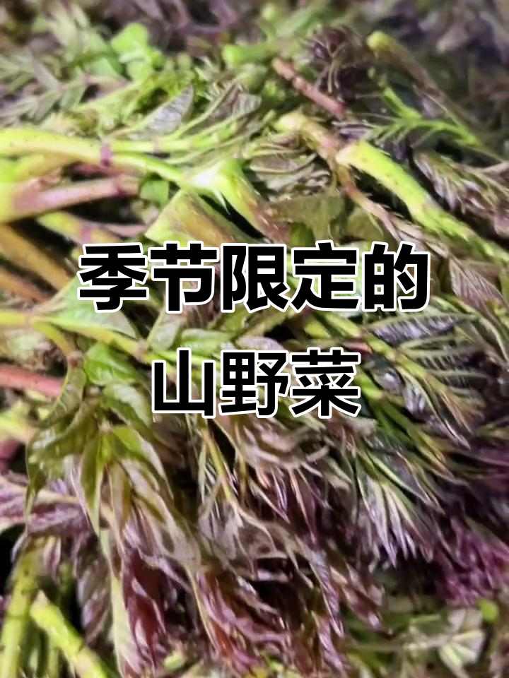 45元一斤的乌龙头,凉拌后卖48块,季节限定美味!
