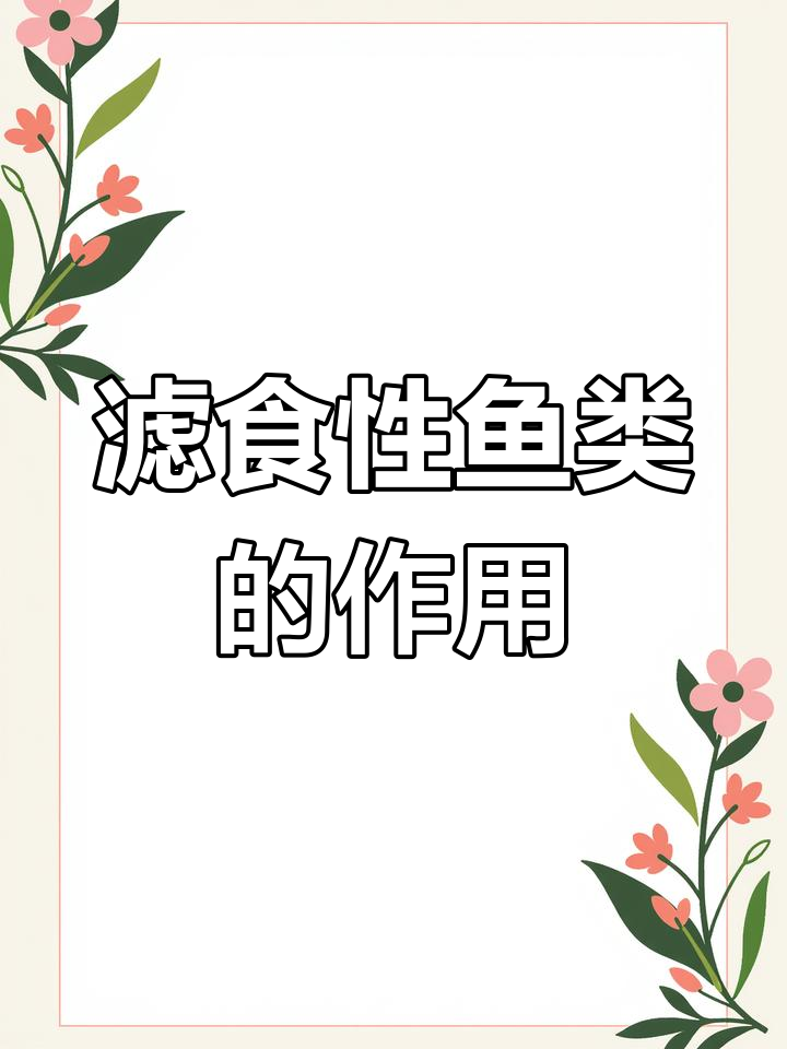 白鲢鱼与花莲的生态作用