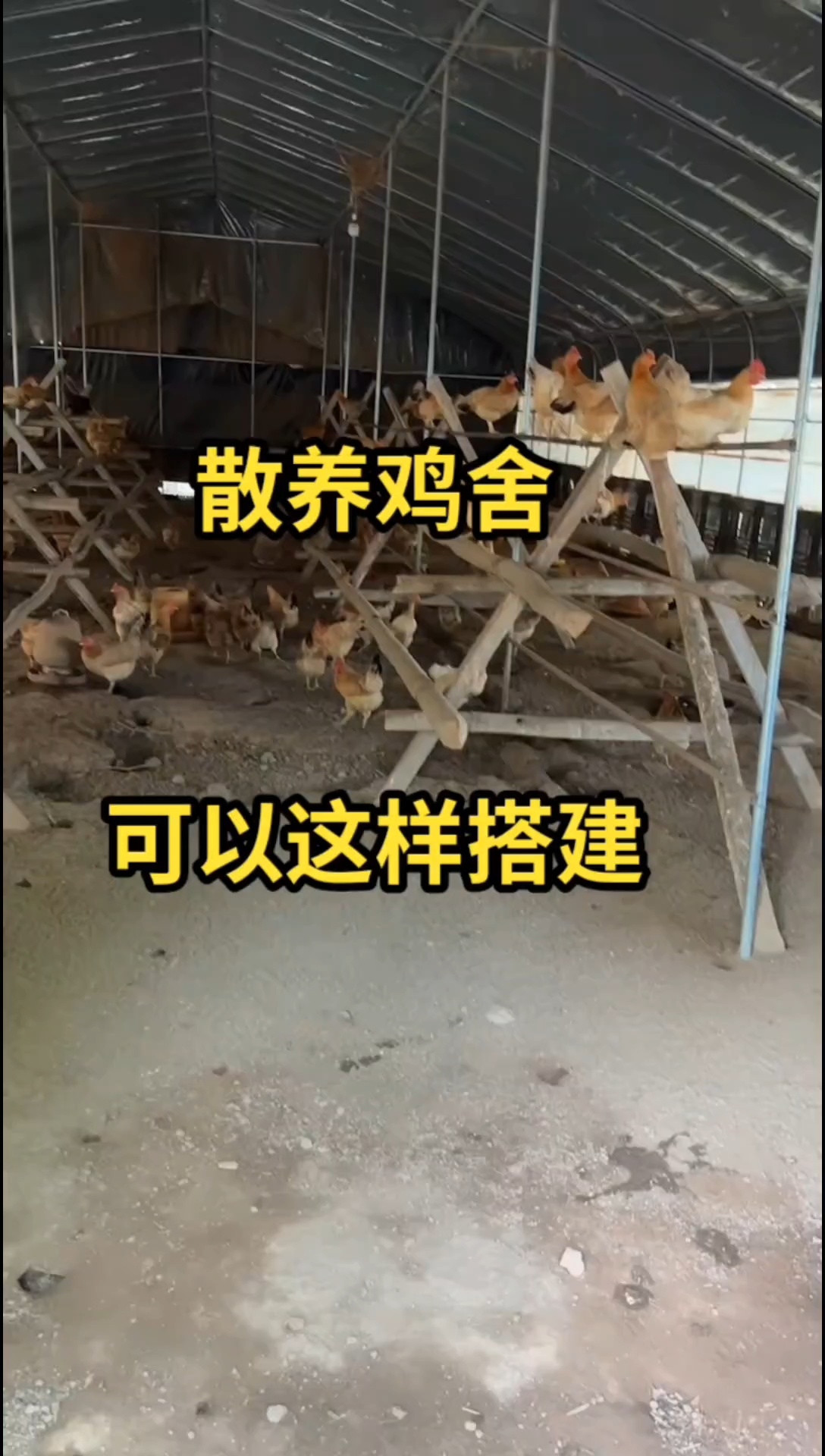 散养鸡舍这样搭建