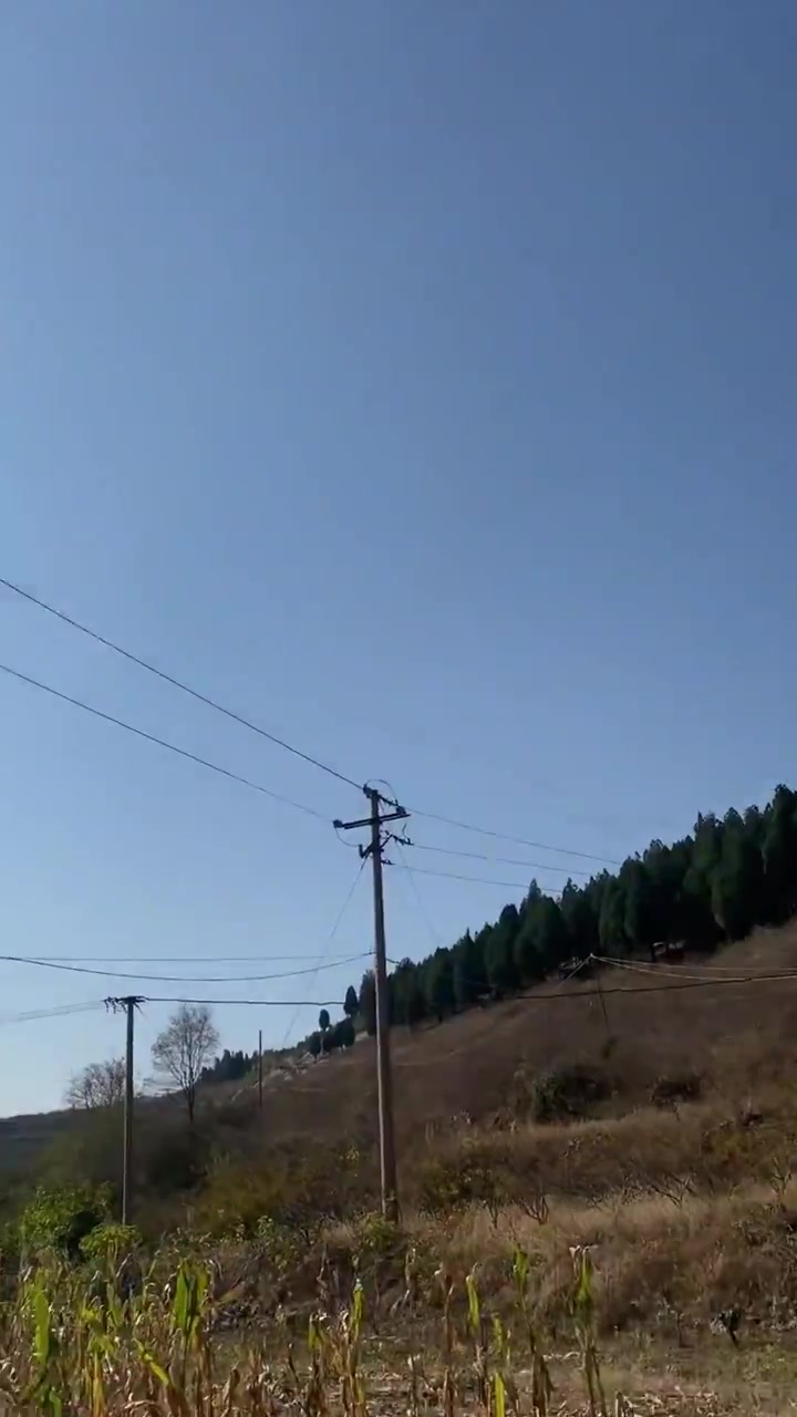 这方法腌的红萝卜咸菜简单好吃，吃一年也不坏