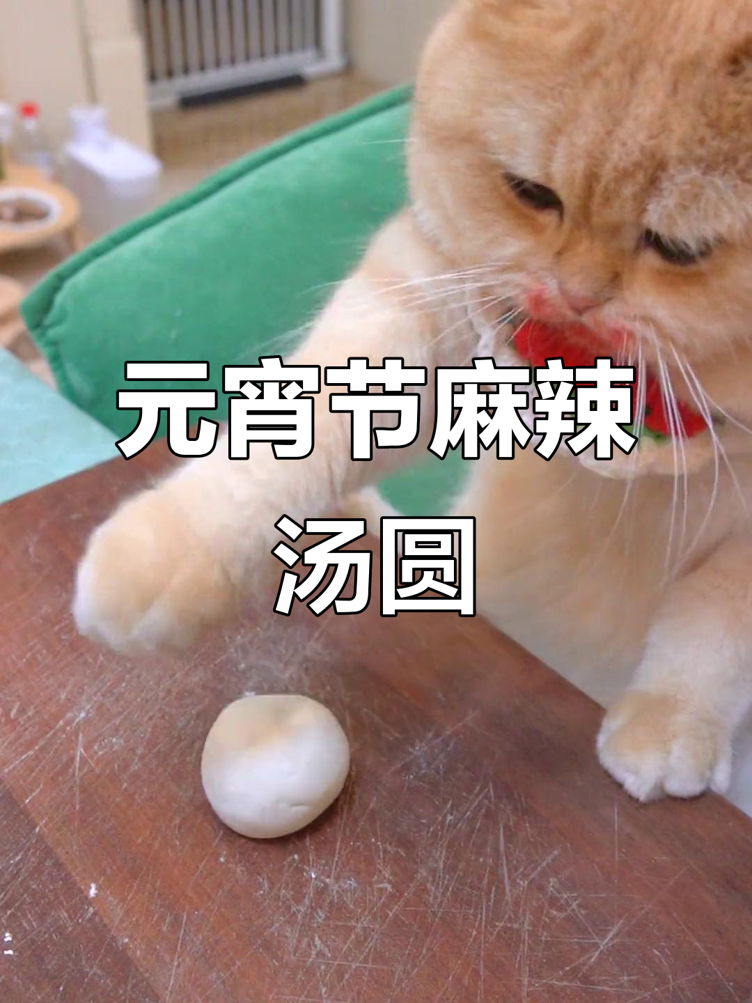 重庆元宵节新奇“麻辣汤圆”,辣味十足让人惊艳