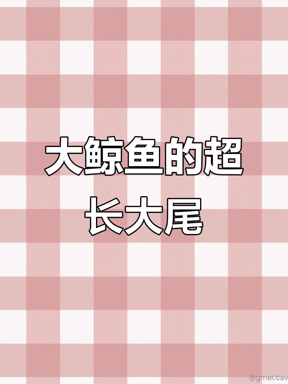Harvey鲸鱼大揭秘:尾巴比身体还长,真是太神奇!