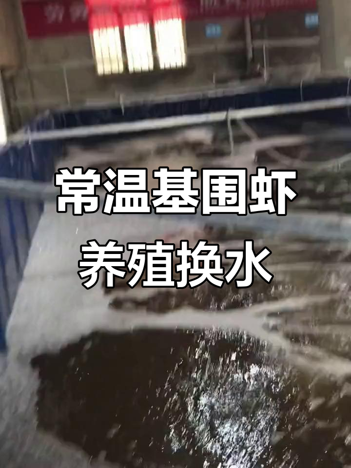 基围虾室内养殖换水全过程,海水三天更换一次