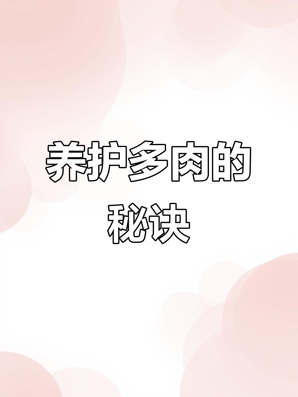 多肉植物喜光怕湿,少浇水多晒太阳,才能茁壮成长!