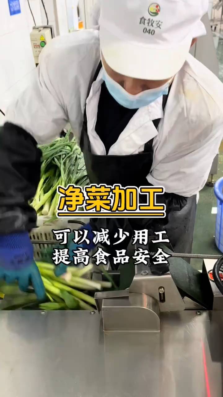 净菜加工设备