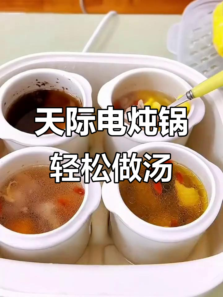 有了天际电炖锅,做饭带娃两不误,汤粥营养更健康
