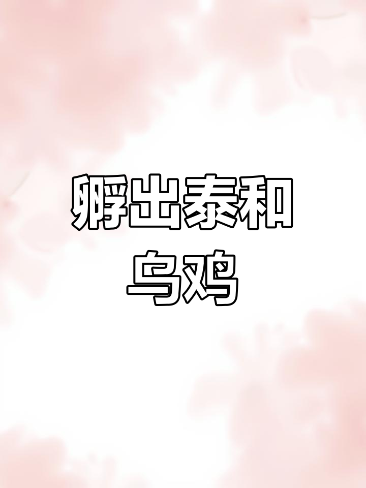 泰和乌鸡孵化全过程:从蛋壳到新生小鸡的奇妙时刻