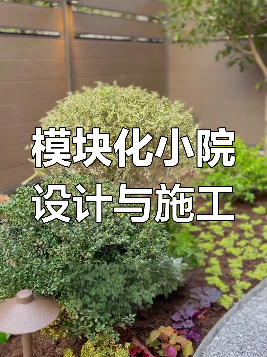 小院改造全攻略:私密菜园与水景设计,打造高品质小花园