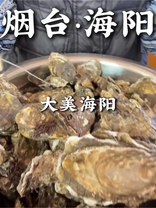 可惜你不是海阳人，不知道我们滨海小城的海鲜多鲜灵