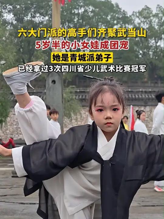 2025国际武当太极文化节期间,来自武当、少林、青城、峨眉、崆峒、昆仑,六大门派的高手们齐