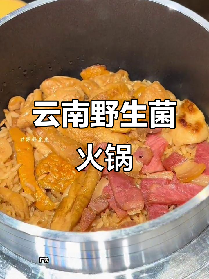 滇牛火锅新品:七种菌菇与跑山鸡的绝妙搭配,鲜美无比