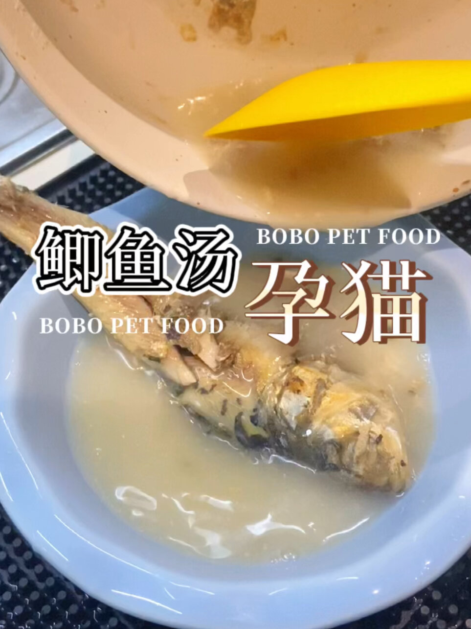 怀孕猫必备的下奶鲫鱼汤 迅速恢复元气