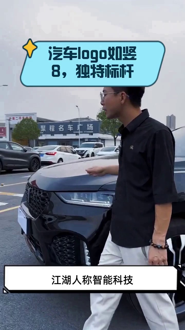 汽车logo如竖8,独特标杆