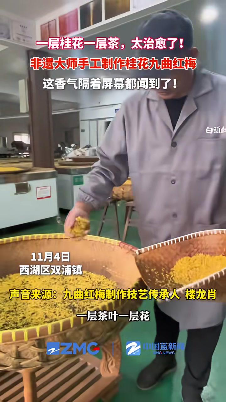 杭城满城桂花香，桂花红茶也即将上市。“一层桂花一层茶叶”，这桂花香隔着屏幕都能闻到。九曲红