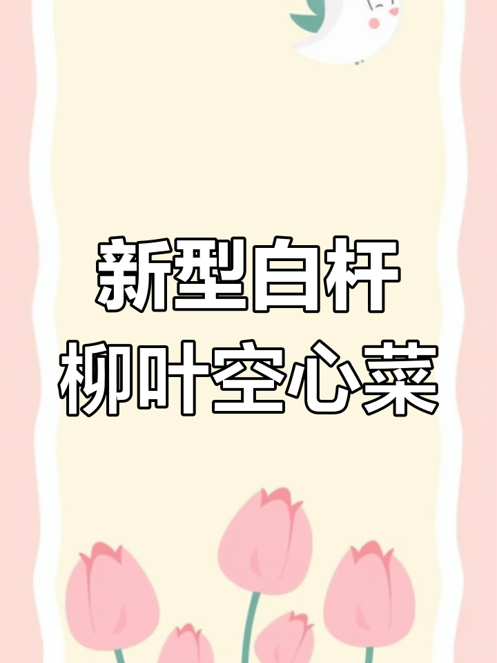 白杆柳叶空心菜:更香嫩脆甜,火锅必备新品种