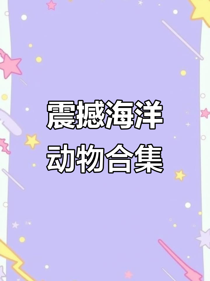 惊艳海洋生物大赏：鱼儿水中舞动，治愈系动态壁纸
