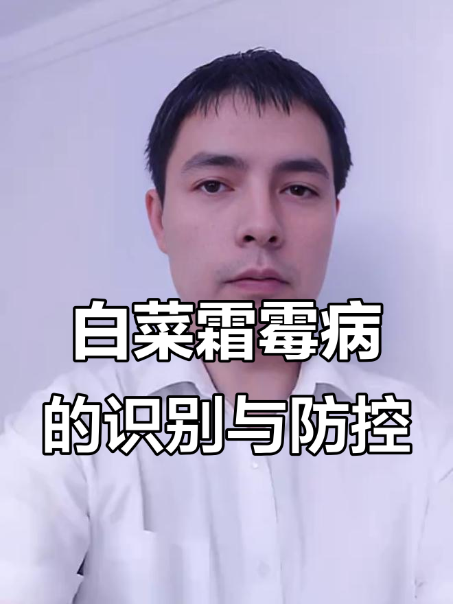 如何判断白菜霜霉病及防治方法
