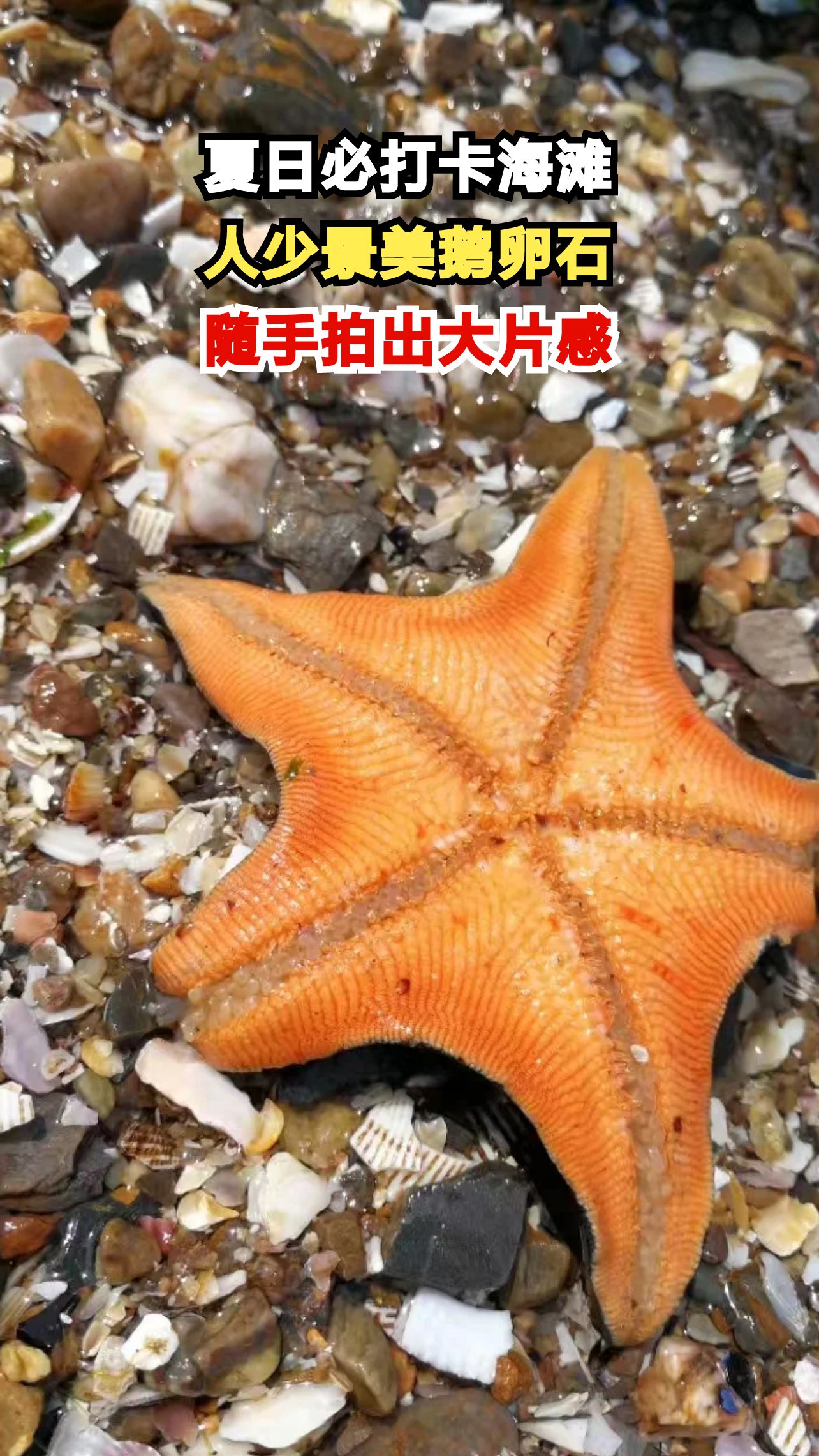 这片人少景美的鹅卵石海滩，随手一拍就是大片，你打卡了吗