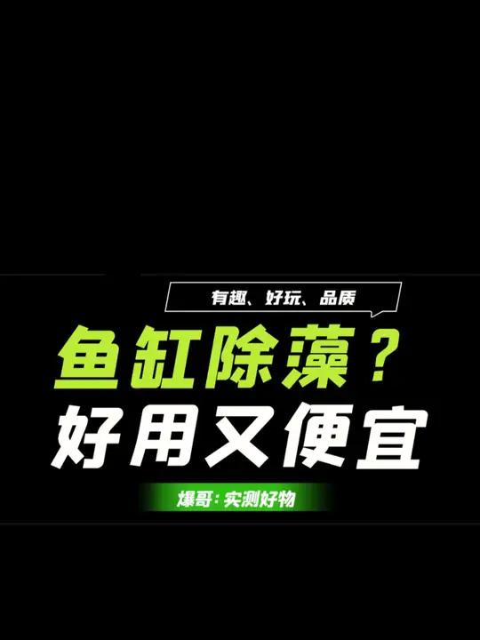 鱼缸玻璃长藻、除藻用啥好?实测好用磁力刷!