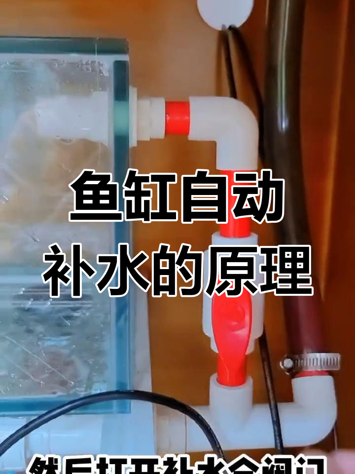 自动补水器解决鱼缸加水问题