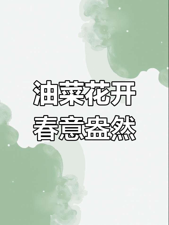春日油菜花,金黄满山岗