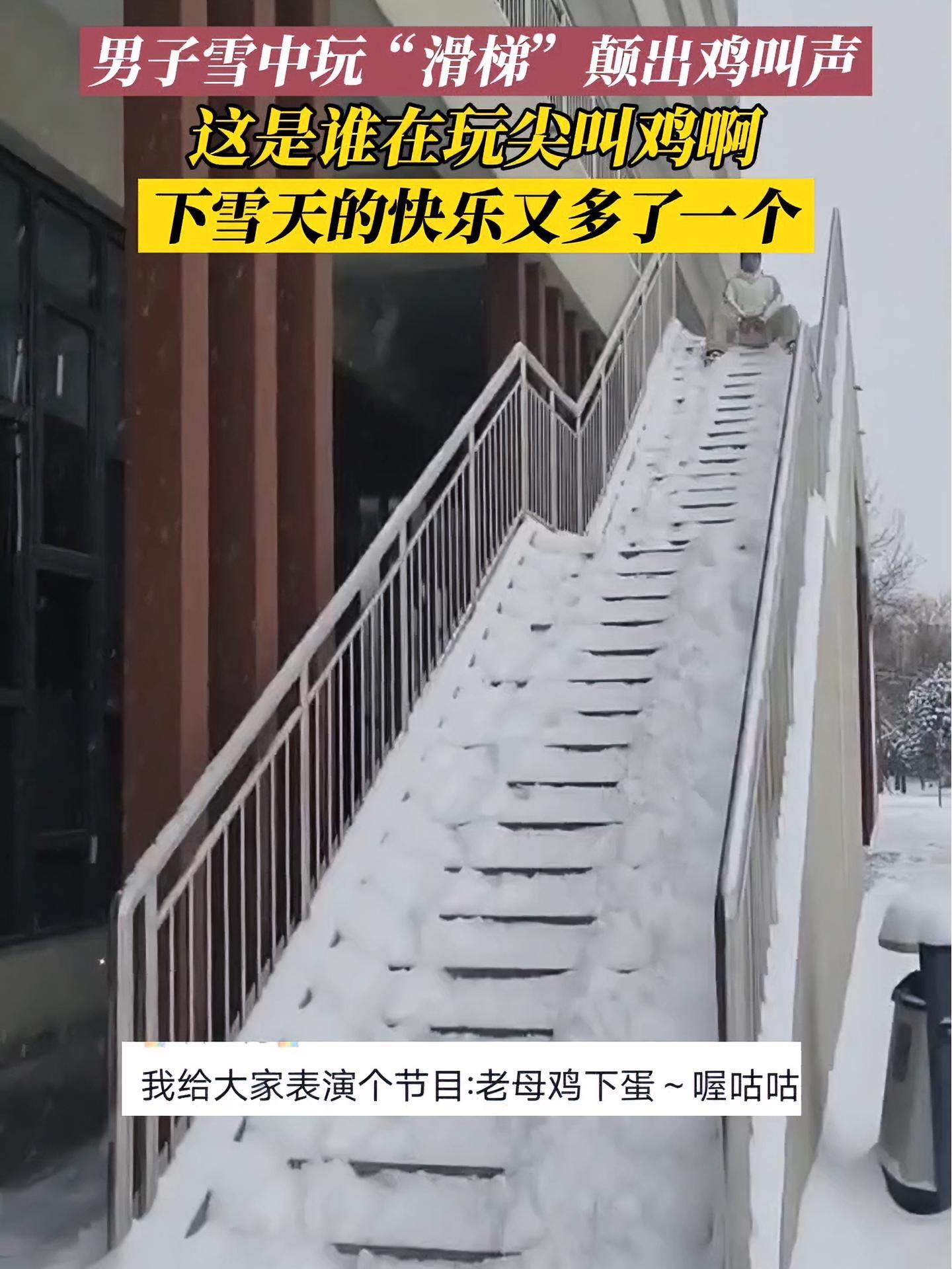 12月14日,河北保定。男子雪中玩“滑梯”颠出鸡叫声,下蛋公鸡,公鸡中的战斗鸡,欧耶!下雪