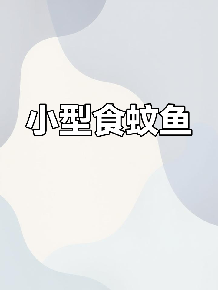 食蚊鱼:小型猛烈肉食鱼,完美饲料与工具鱼