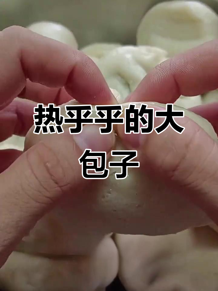 茄子小白菜蒸大包子,家常味十足,热腾腾的幸福感