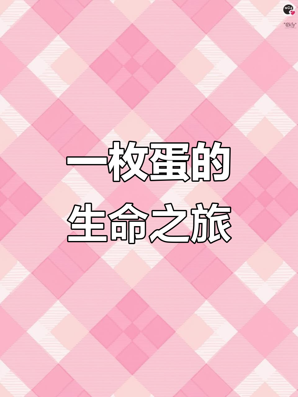 母鸡如何将鸡蛋孵化成小鸡？揭秘生命奇迹的诞生过程
