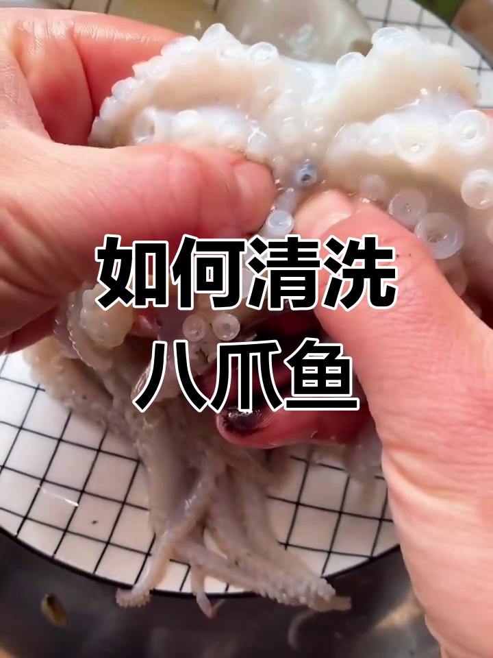 八爪鱼清理全攻略,教你如何轻松去内脏和牙齿