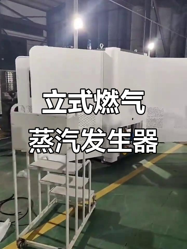 燃气蒸汽发生器:立式结构,安装便捷,广泛应用于多个行业
