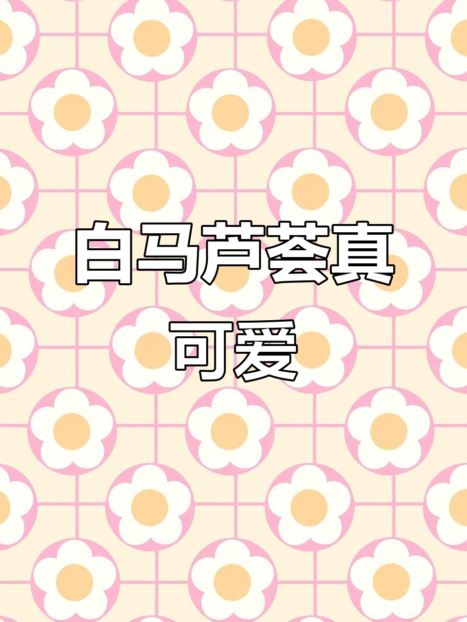 长得像斑马的多肉植物,竟然叫白马!