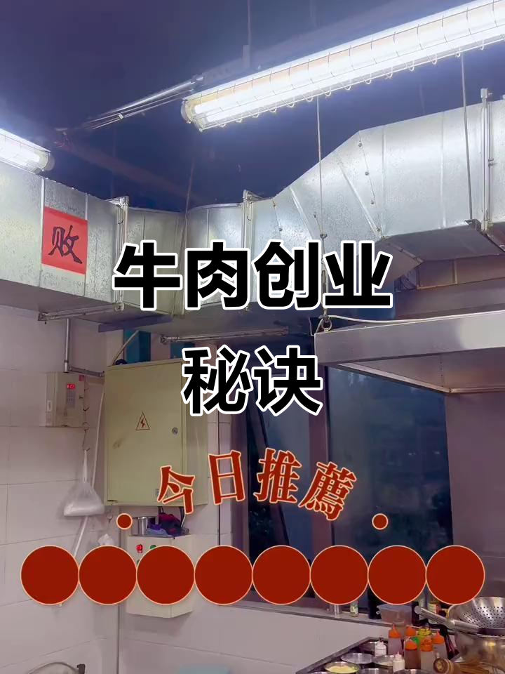 小车牛肉,日赚2万,单品创业轻松起步!
