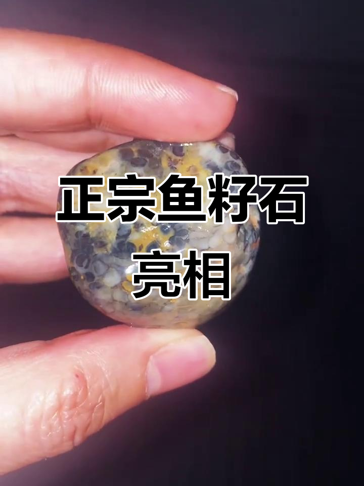 鱼籽石惊艳登场，美丽石头扳回一局