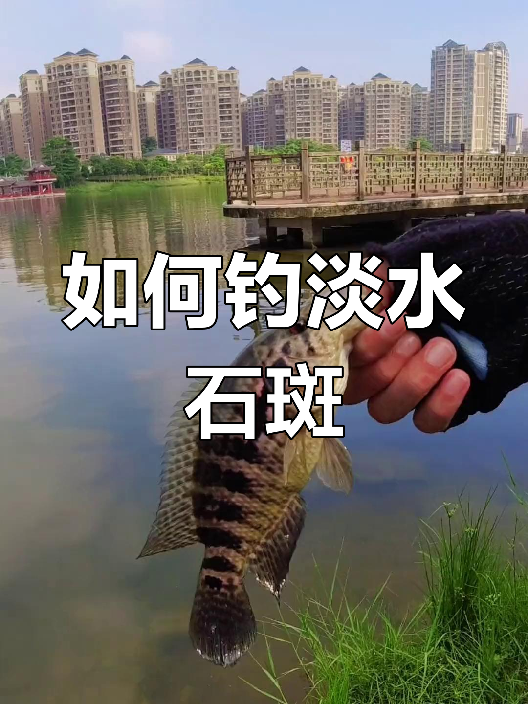 淡水石斑鱼钓法解析