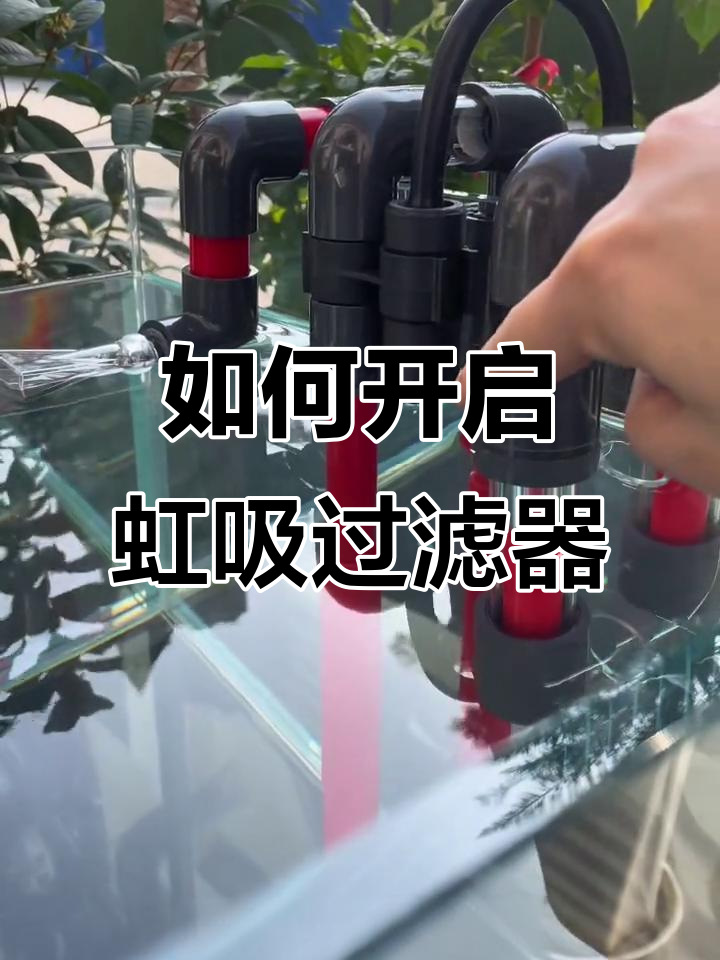 虹吸装置启动全流程，轻松掌握鱼缸过滤技巧