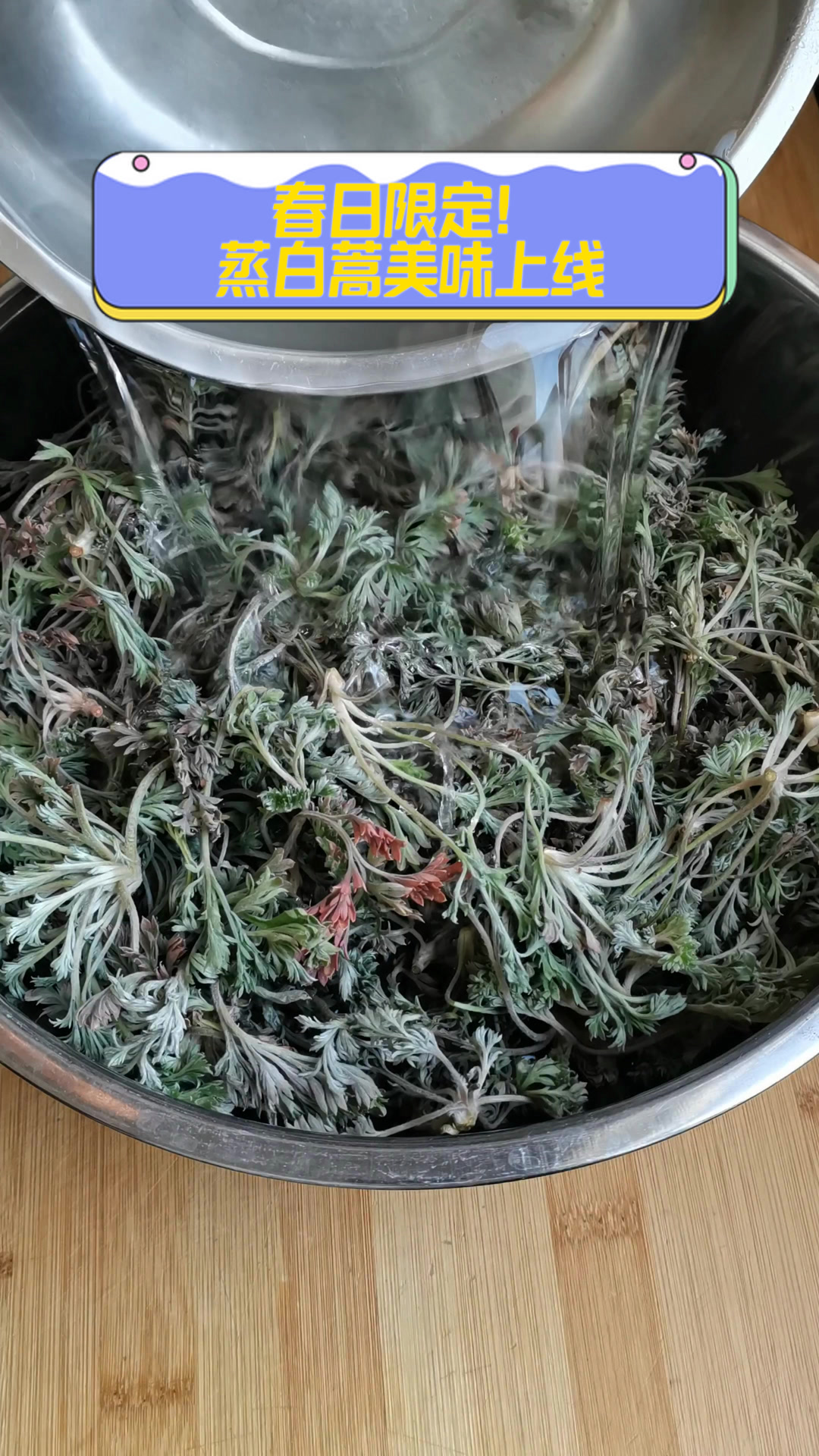 春日限定！蒸白蒿美味上线