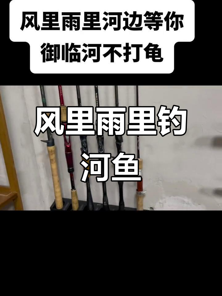 雨中河边钓鱼,短节盘车杆轻松搞定
