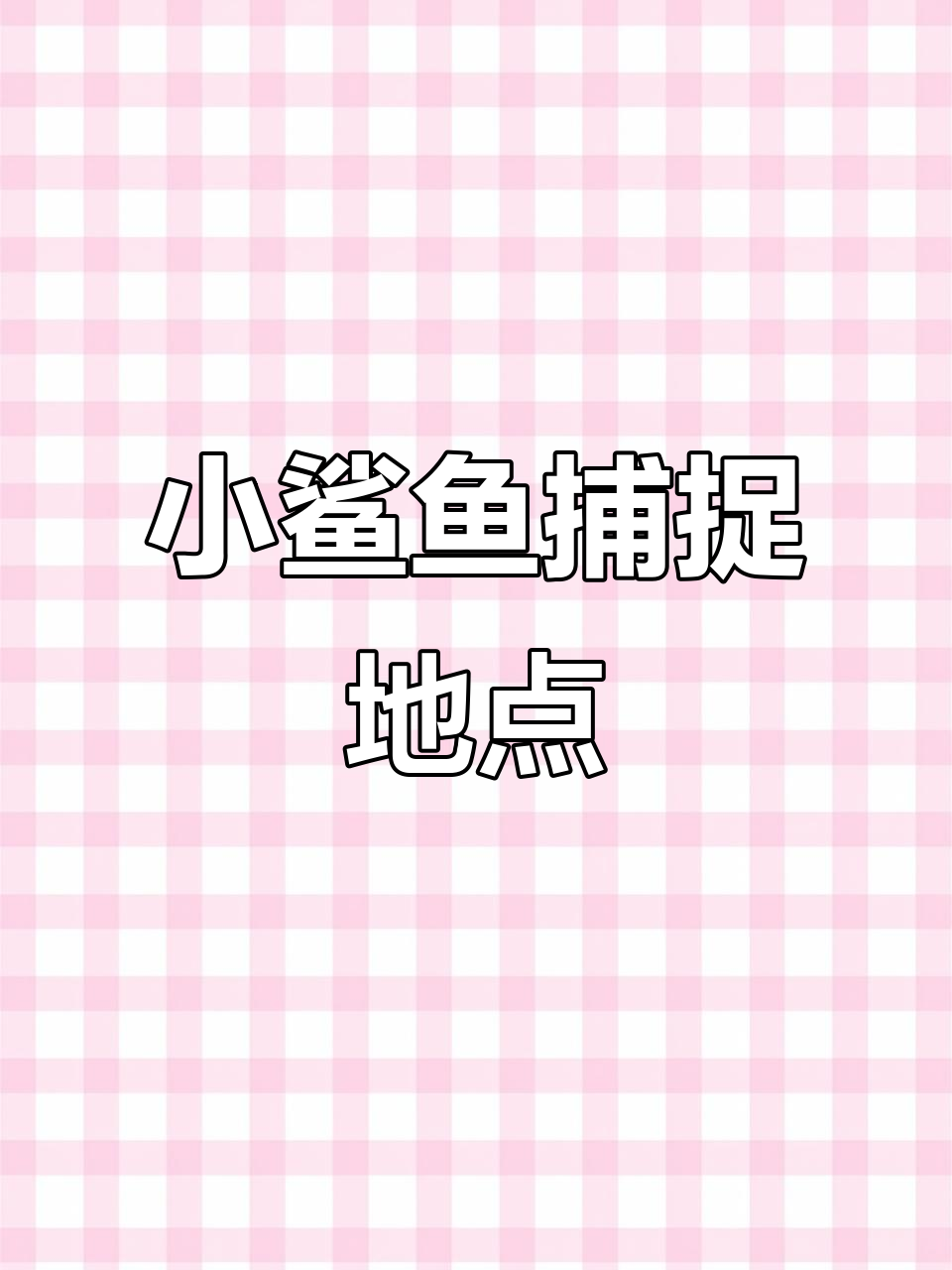 幼鲸鲨位置揭秘,快来捕捉小鲨鱼!