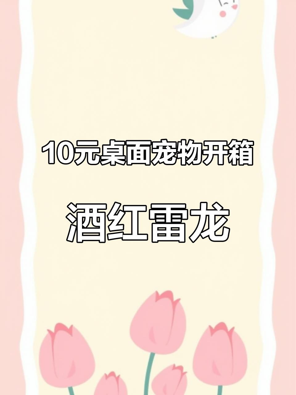 酒红雷龙鱼成体揭秘,新手必看养殖技巧