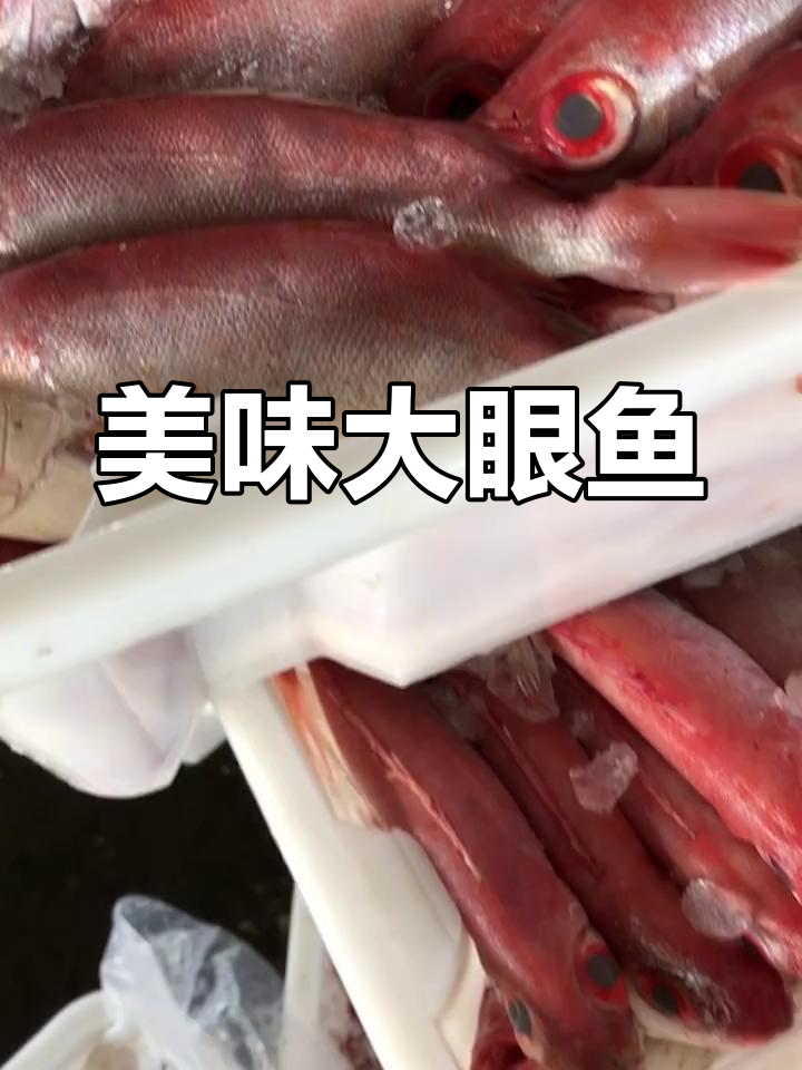 大眼鱼鲜美无比,刺身或炖煮皆宜,值得一试!