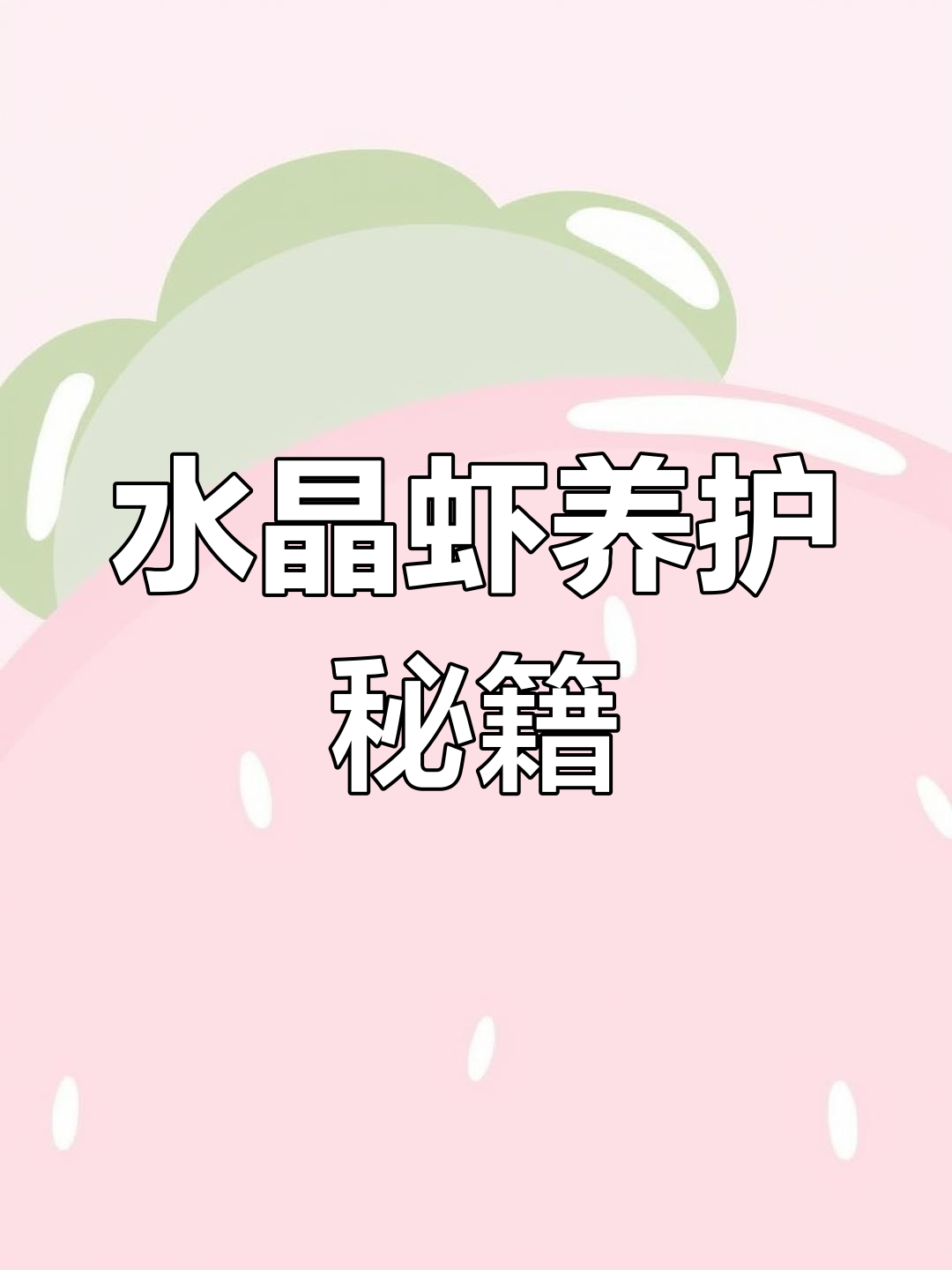 养殖水晶虾,掌握这些要点轻松上手!