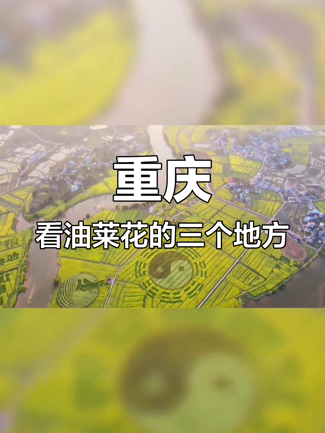 重庆油菜花赏花攻略,三大必游景点