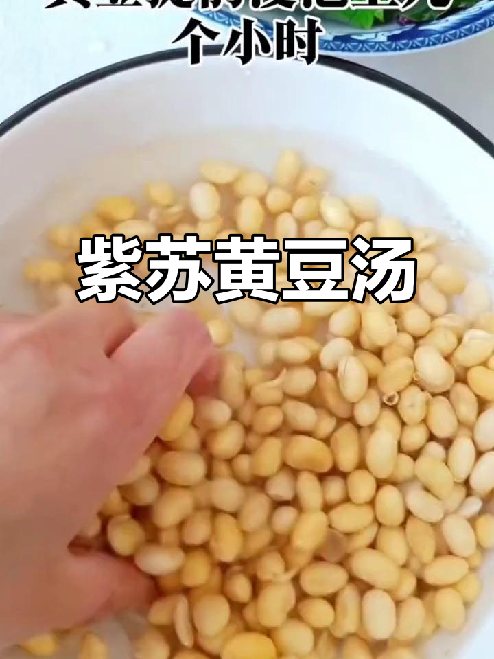 紫苏与黄豆煮水,竟有如此奇效!老祖宗的智慧不容忽视